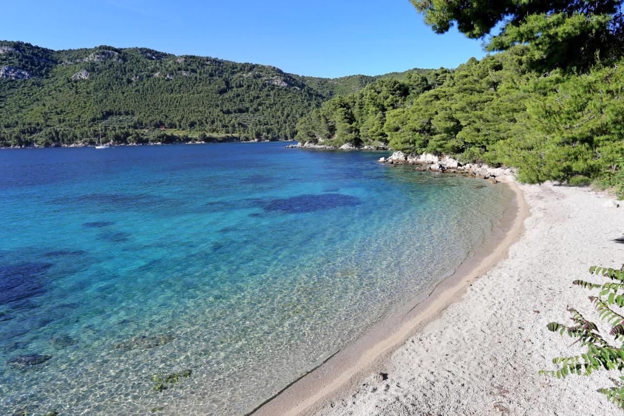 Apartments With A Parking Space Zuljana, Peljesac - 4574 Dış mekan fotoğraf