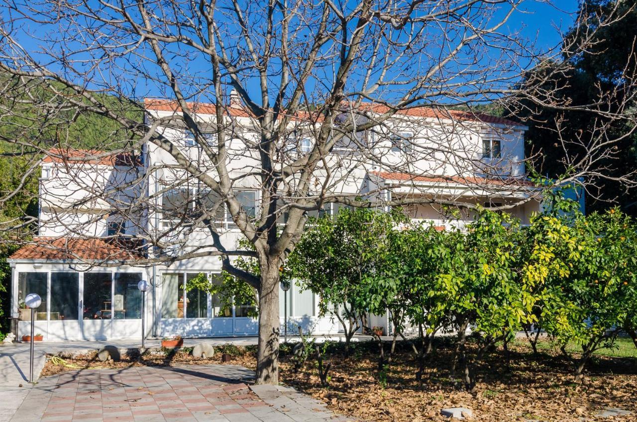 Apartments With A Parking Space Zuljana, Peljesac - 4574 Dış mekan fotoğraf